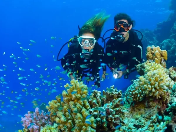 Diving